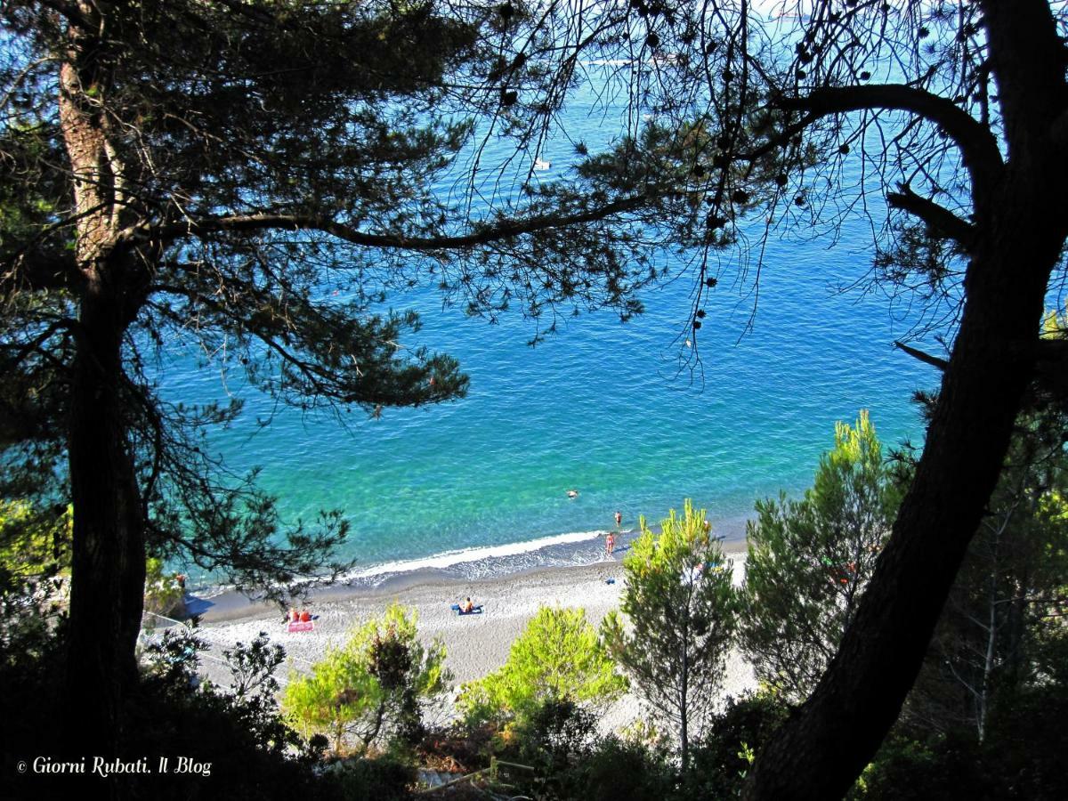 Hotel Garden Bocca Di Magra Экстерьер фото